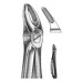 FORCEP DENTAL TALMED